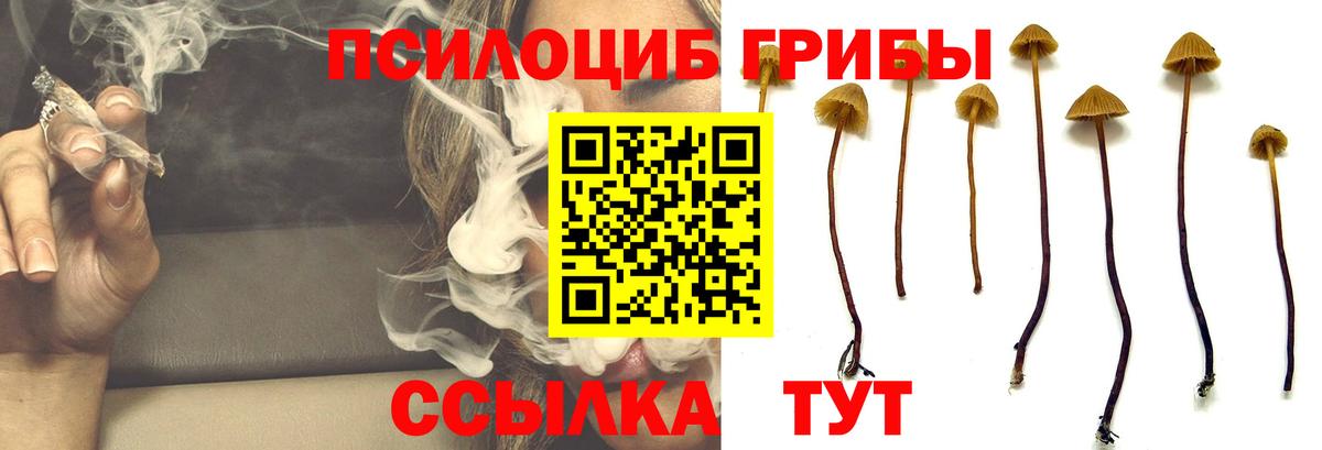 Губкин  Псилоцибиновые грибы мухоморы  Вход с VPN 